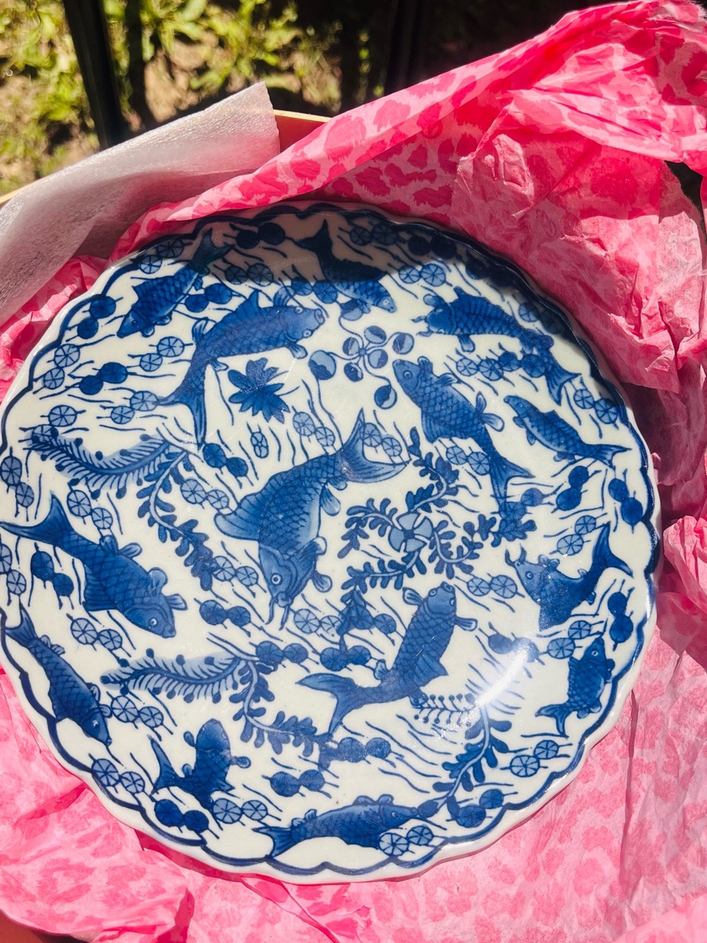 Blue and White Fish Motif Porcelain Plate